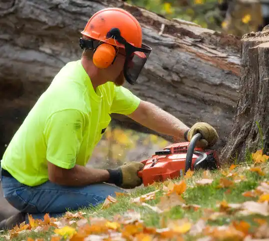 tree services Eveleth